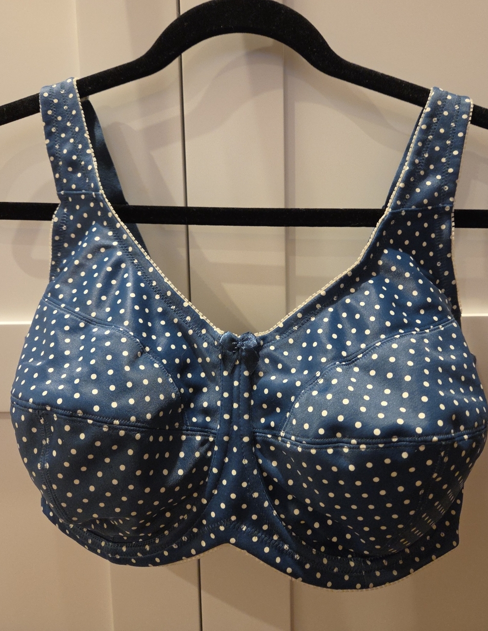 Cabernet Blue Polka Dot Full-Coverage Bra